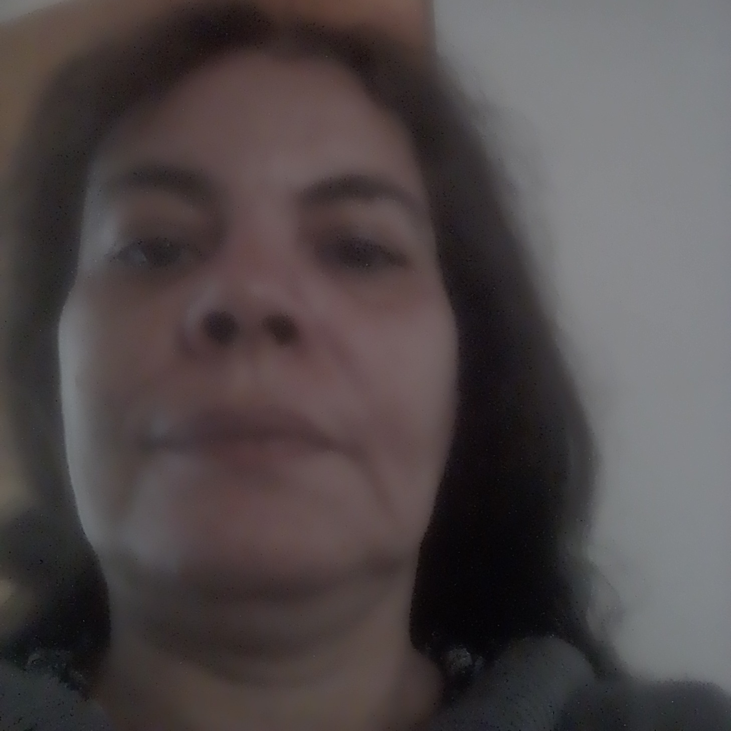 Ana da Silva de Abreu